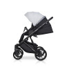 Детская коляска Riko Basic Delta 2 в 1 01 grey fox
