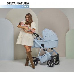 Детская коляска Adamex Delta Natura 2 в 1 DN-1-SKY