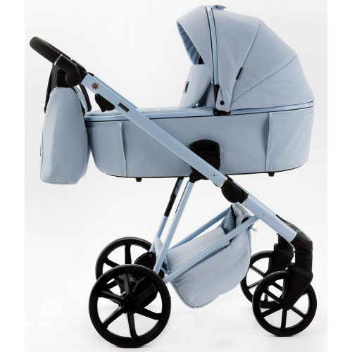 Детская коляска Adamex Delta Natura 2 в 1 DN-1-SKY