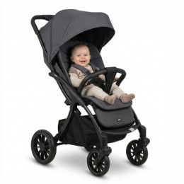 Коляска прогулочная Agex Mini All Road, Grey (Серый)