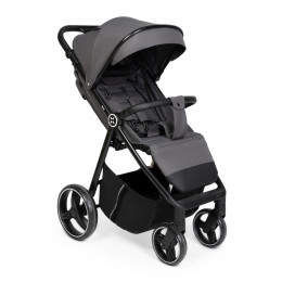 Коляска прогулочная Agex Maxi, Grey (Серый)