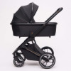 Коляска 2 в 1 Agex Prima 4x4, Black (Черный)