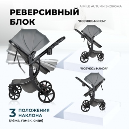 Коляска-трансформер Farfello Aimile Original Autumn Dark Grey AA-8