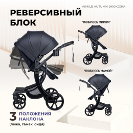 Коляска-трансформер Farfello Aimile Original Autumn AA-1 парижская ночь