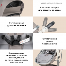 Коляска-трансформер Farfello Aimile Original Autumn AA-4 космический латте