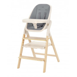 Стульчик для кормления Carrello Ergo CRL-16701 4 в 1 Carbon Grey