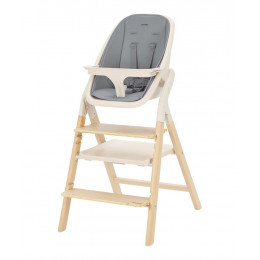 Стульчик для кормления Carrello Ergo CRL-16701 4 в 1 Carbon Grey