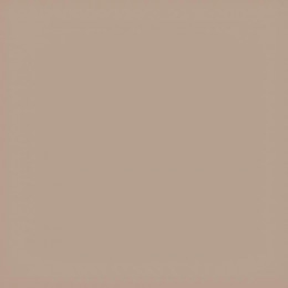 Коляска 2 в 1 Carrello Vector CRL-6550 Foam Beige
