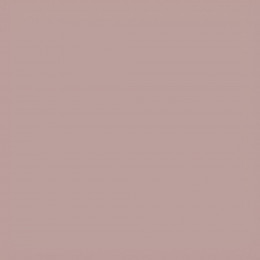 Коляска 2 в 1 Carrello Vector CRL-6550 Cupcake Beige
