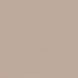 Коляска 2 в 1 Carrello Vector 2025 CRL-6551 Mellow Beige