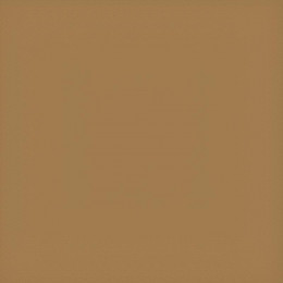 Коляска 2 в 1 Carrello Vector 2025 CRL-6551 Golden Beige