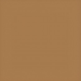 Коляска 2 в 1 Carrello Alfa 2025 CRL-6522 Honey Beige
