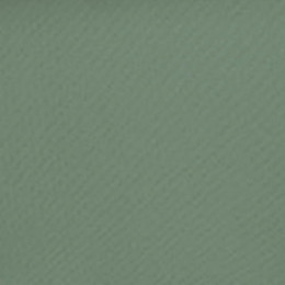 Коляска 3 в 1 Carrello Ultimo CRL-6521 Chrome Fern Green