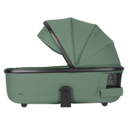 Коляска Carrello Ultimo Chrome CRL-6524 2025 2 в 1 Fern Green