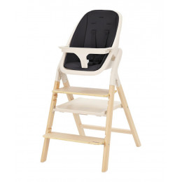 Стульчик для кормления Carrello Ergo CRL-16701 4 в 1 Obsidian Black