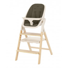 Стульчик для кормления Carrello Ergo CRL-16701 4 в 1 Pine Green