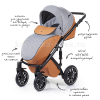 Коляска 2 в 1 Anex Sport