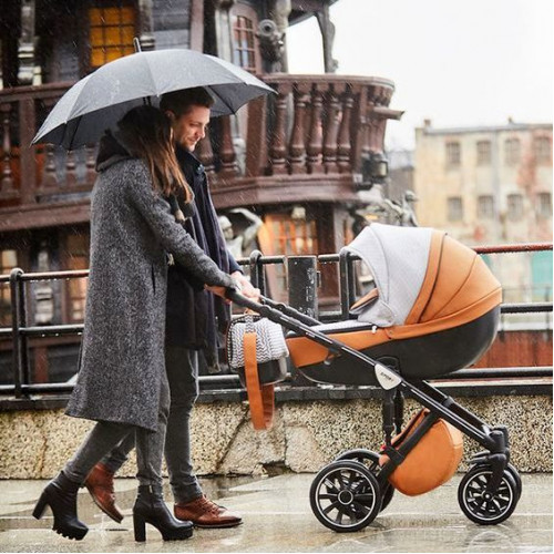 Коляска 2 в 1 Anex Sport
