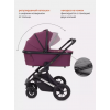 Коляска 2 в 1 Rant Axiom RA093, Purple (Фиолетовый)