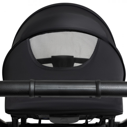 Коляска 2 в 1 Agex Life, Black (Черный)
