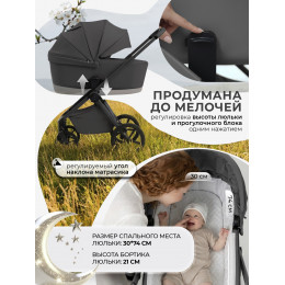 Коляска 2в1 SBL Elegante Pro Dark Grey