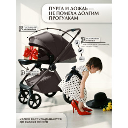 Коляска 2в1 SBL Elegante Therma (Colore) Chocolate Brown