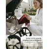 Коляска 3в1 SBL Elegante Therma (Colore) Beige