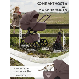 Коляска 2в1 SBL Elegante Pro Mokka