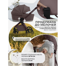 Коляска 2в1 SBL Elegante Pro Mokka