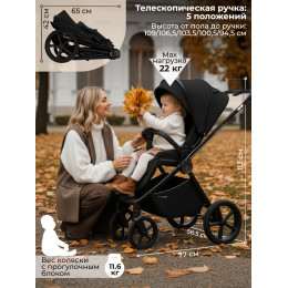 Коляска 2в1 SBL Elegante Therma Black