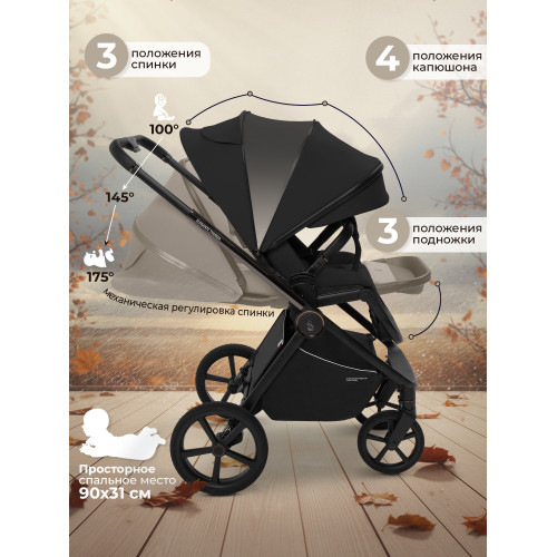 Коляска 2в1 SBL Elegante Therma Black