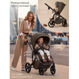 Коляска 2в1 SBL Dolce Dark Beige