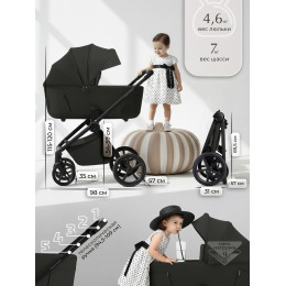 Коляска 2в1 SBL Elegante Therma (Colore) Black