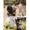 Коляска-трансформер 2в1 Sweet Baby Ranger Black Gold