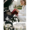 Коляска 2в1 SBL Elegante Therma (Colore) Cream