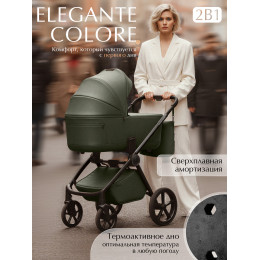 Коляска 2в1 SBL Elegante Therma (Colore) Green
