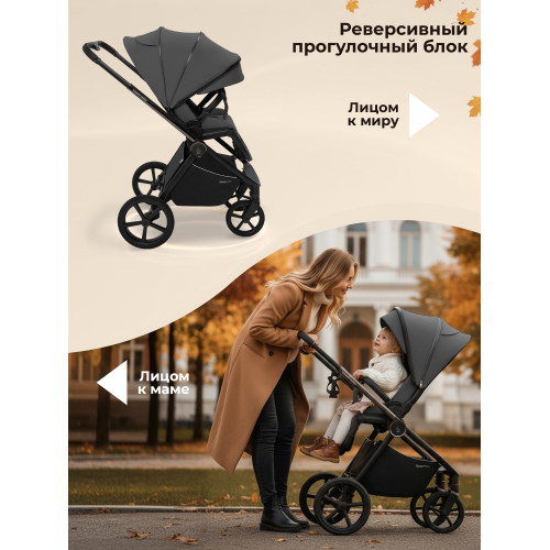 Коляска 3в1 SBL Elegante Therma Dark Grey