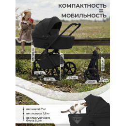 Коляска 2в1 SBL Elegante Pro Black