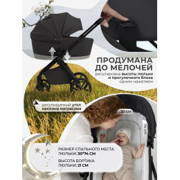 Коляска 2в1 SBL Elegante Pro Black
