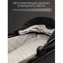 Коляска 2в1 SBL Massimo Black