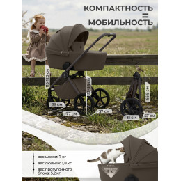 Коляска 2в1 SBL Elegante Pro Dark Beige