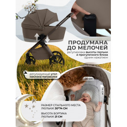 Коляска 2в1 SBL Elegante Pro Dark Beige