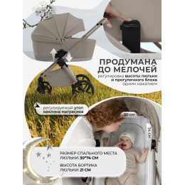 Коляска 2в1 SBL Elegante Pro Beige