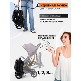 Прогулочная коляска SBL Aura Plus Basic Rose