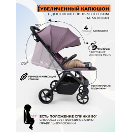 Прогулочная коляска SBL Aura Plus Basic Rose