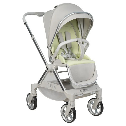 Коляска прогулочная Farfello Olivia O1s,серый