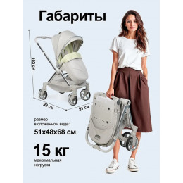 Коляска прогулочная Farfello Olivia O1s,серый