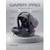 Автокресло Rant Carry Pro (40-87 см) Graphite