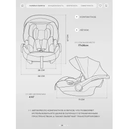 Автокресло Rant Carry Pro (40-87 см) Graphite