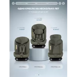 Автокресло Rant Basic Rally Next группа 0+/1/2/3 (0-36 кг) Olive